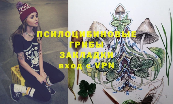 MDMA Premium VHQ Каменка