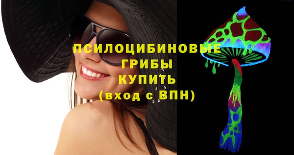 мет Каменногорск