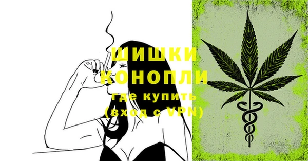 крисы Сосновый Бор